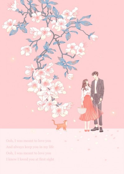 谋婚夺爱：墨总，错了别回头盛凡兮墨连勋